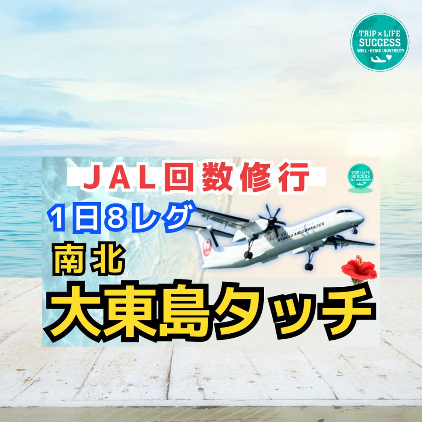 【JALステータス修行】沖縄島めぐり1日8レグ 南北大東島を1日で往復！