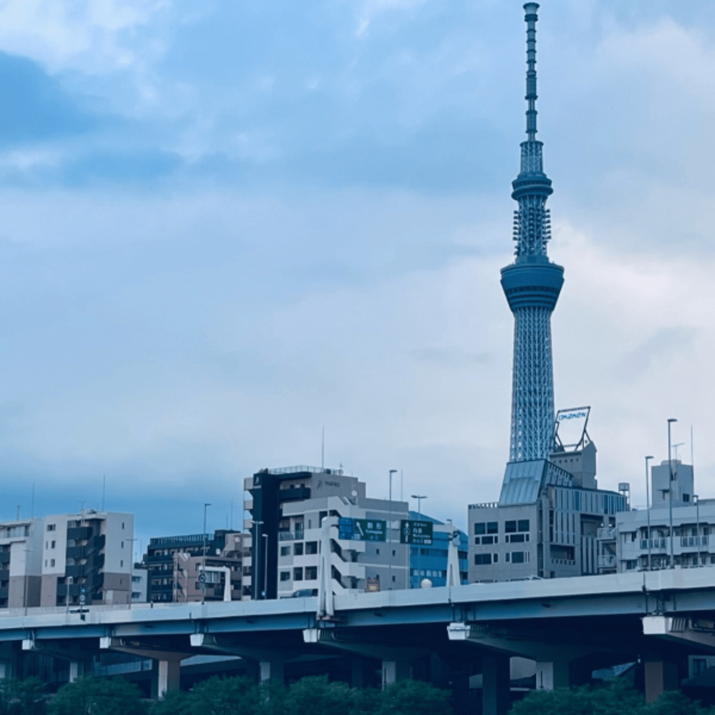 ライブ｜ちょとだけさみしい夜は episode artwork