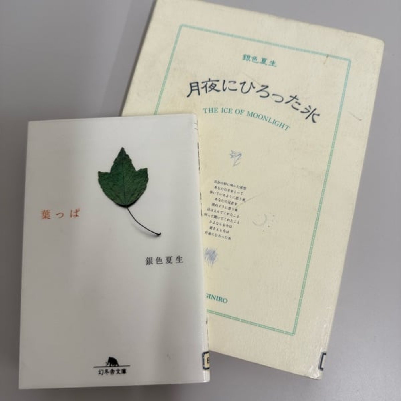 737 【読書】銀色夏生/著『葉っぱ』『月夜にひろった氷』