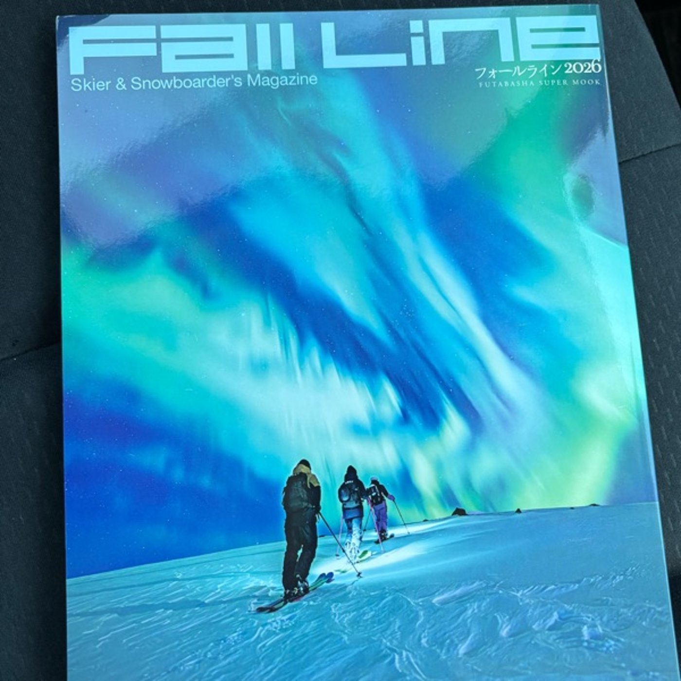 1173 雪山の世界で大きな自由を手に入れる