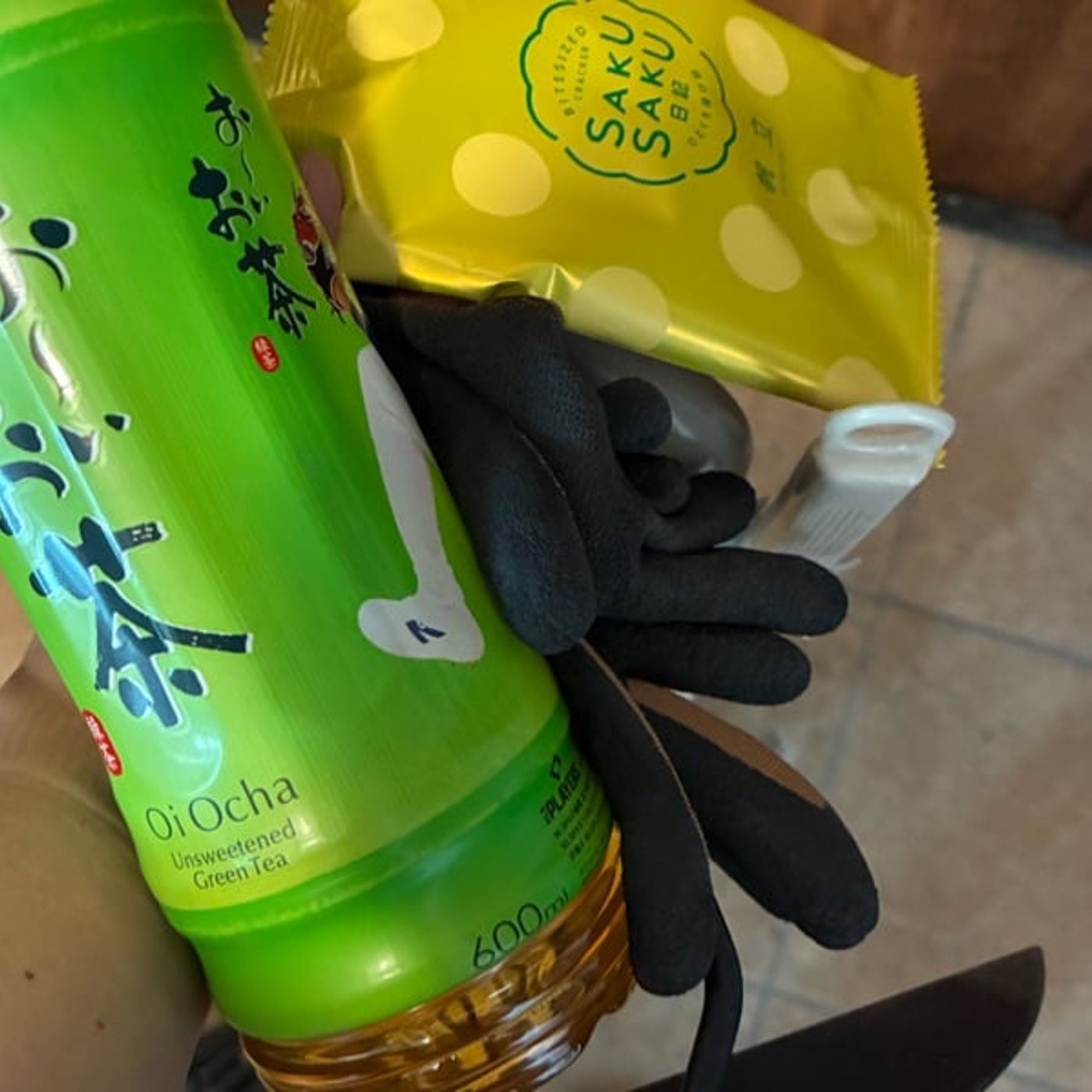市民清掃デー行ってきました【朝さんぽ10分】
