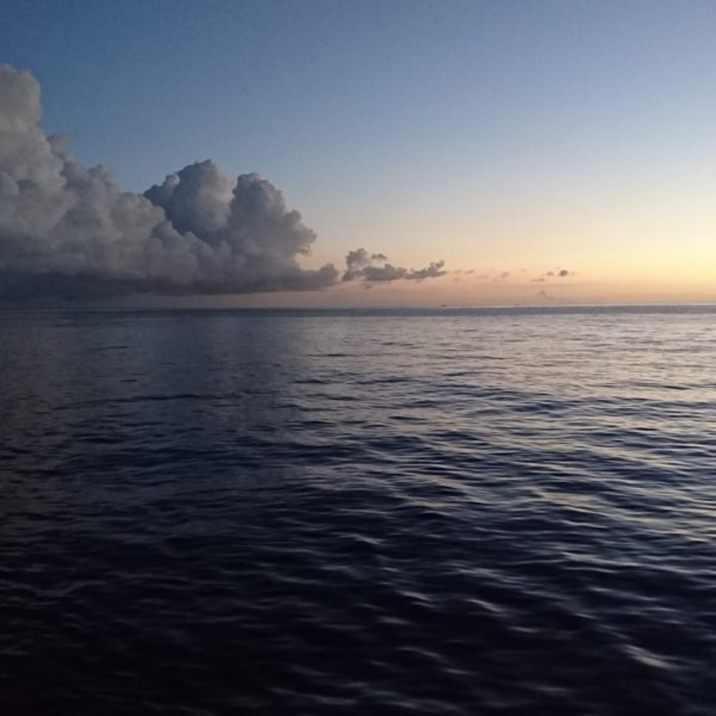 #21 遅くなったセミナー感想〜コロナになりました〜