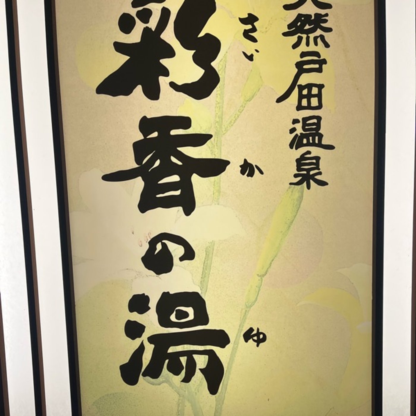 195 初めての佑気取り♨スーパー銭湯で運気チャージ！ episode artwork