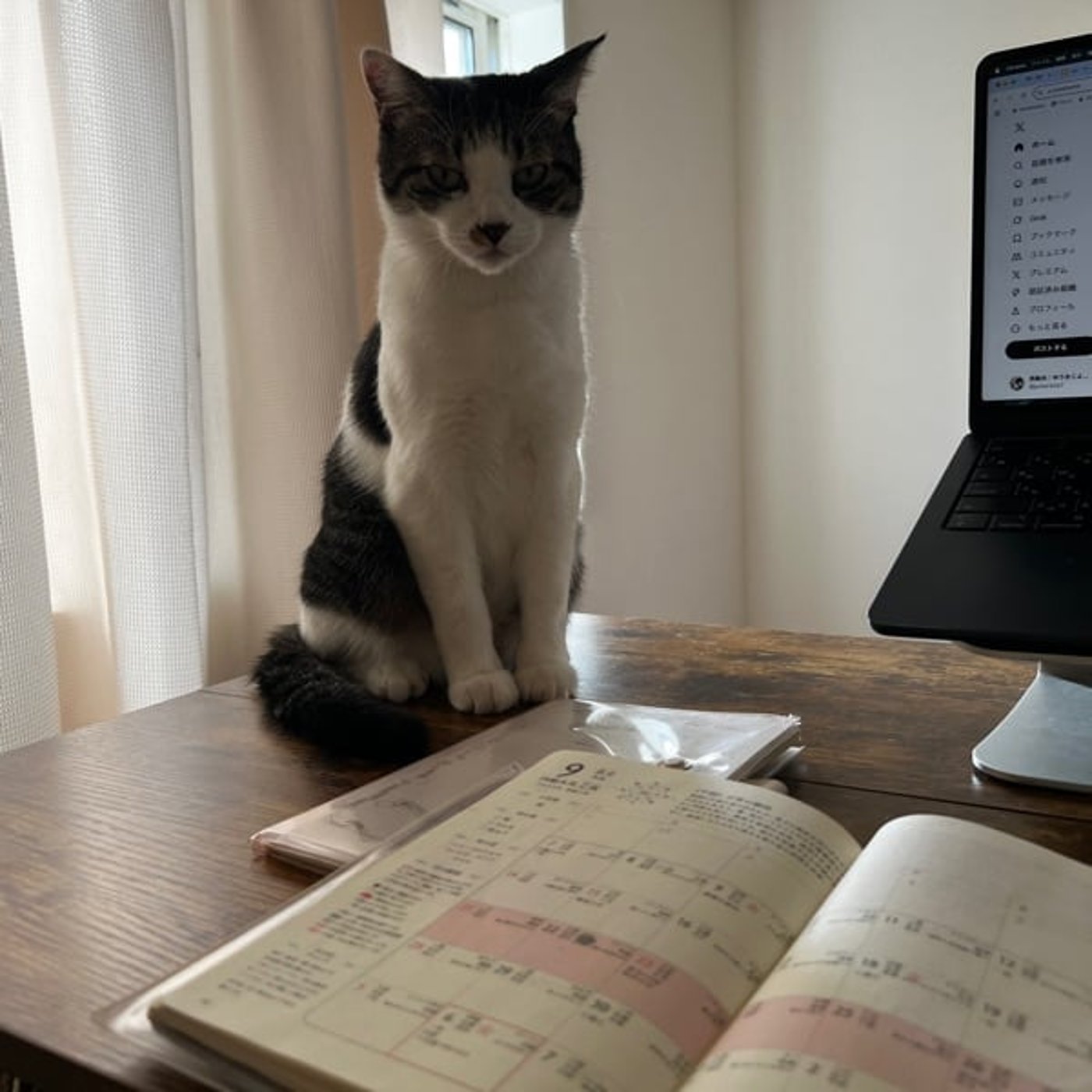 運が良いと人が良いは別