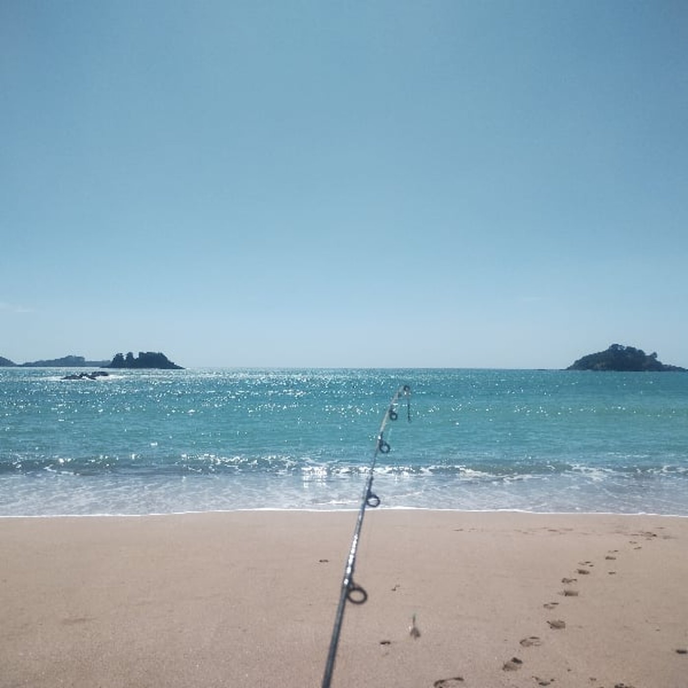 🌊🐟️テ・アラロアのカウントダウンはじまりました！