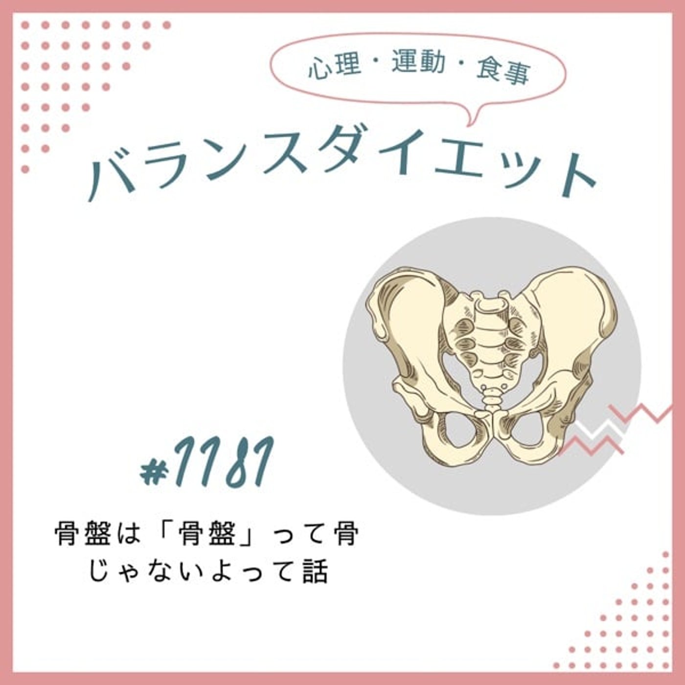 #1181骨盤は「骨盤」って骨じゃないよって話 #1181骨盤は「骨盤」って骨じゃないよって話