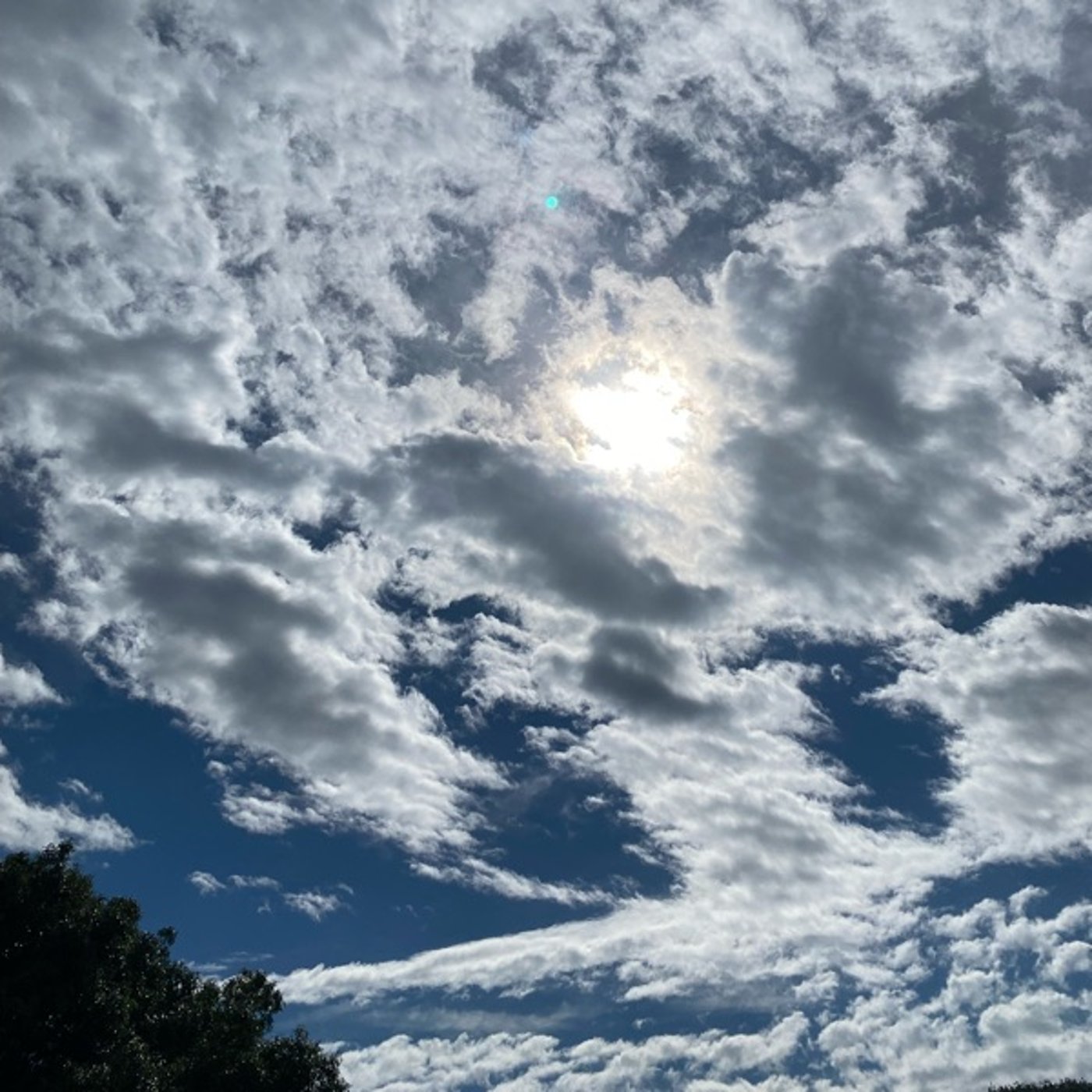 価値は自ら見出していく。他人のジャッジをサラリと流す考え方。 価値は自ら見出していく。他人のジャッジをサラリと流す考え方。