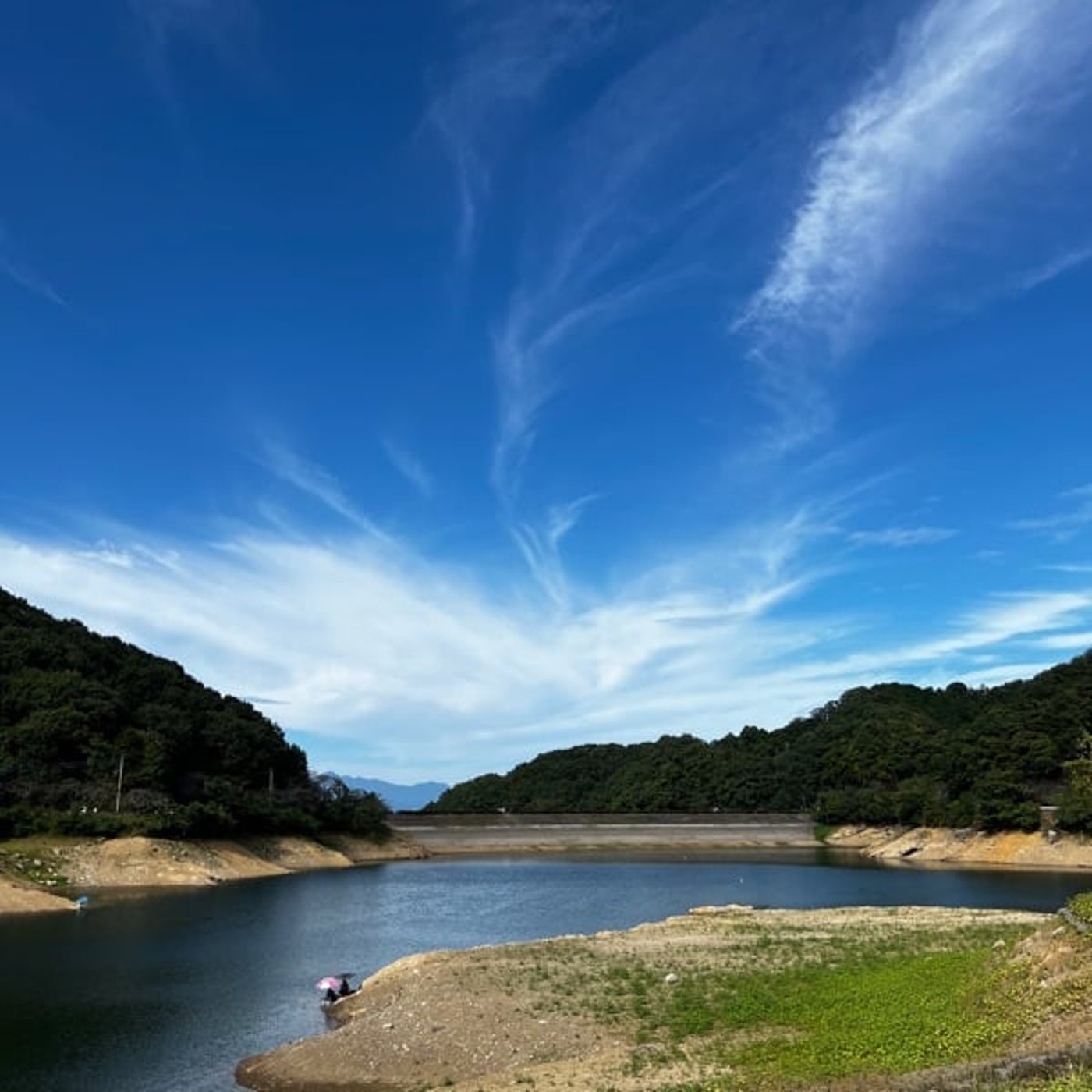 嫌いなものから自分らしい未来を守る方法