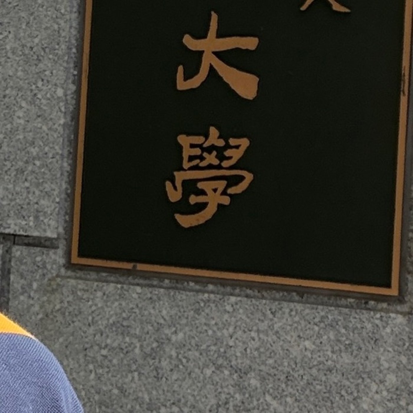 【1846回】🏫学部・修士の5年一貫教育が始まる？文科省方針 episode artwork