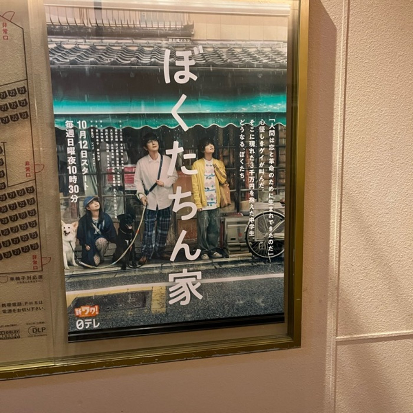 199 ミッチーが冴えない!? 新ドラマ『ぼくたちん家』試写会レポ episode artwork