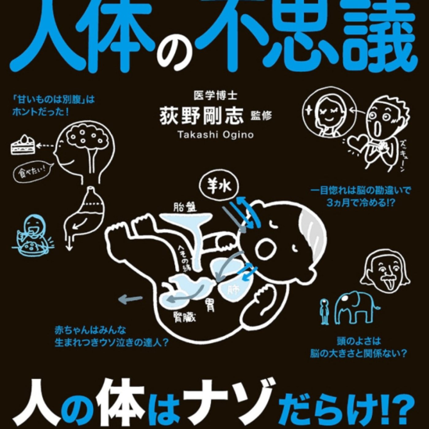 荻野さんの人体の不思議がなるほど分かりみ！心臓がん聞いたことあまりないよね