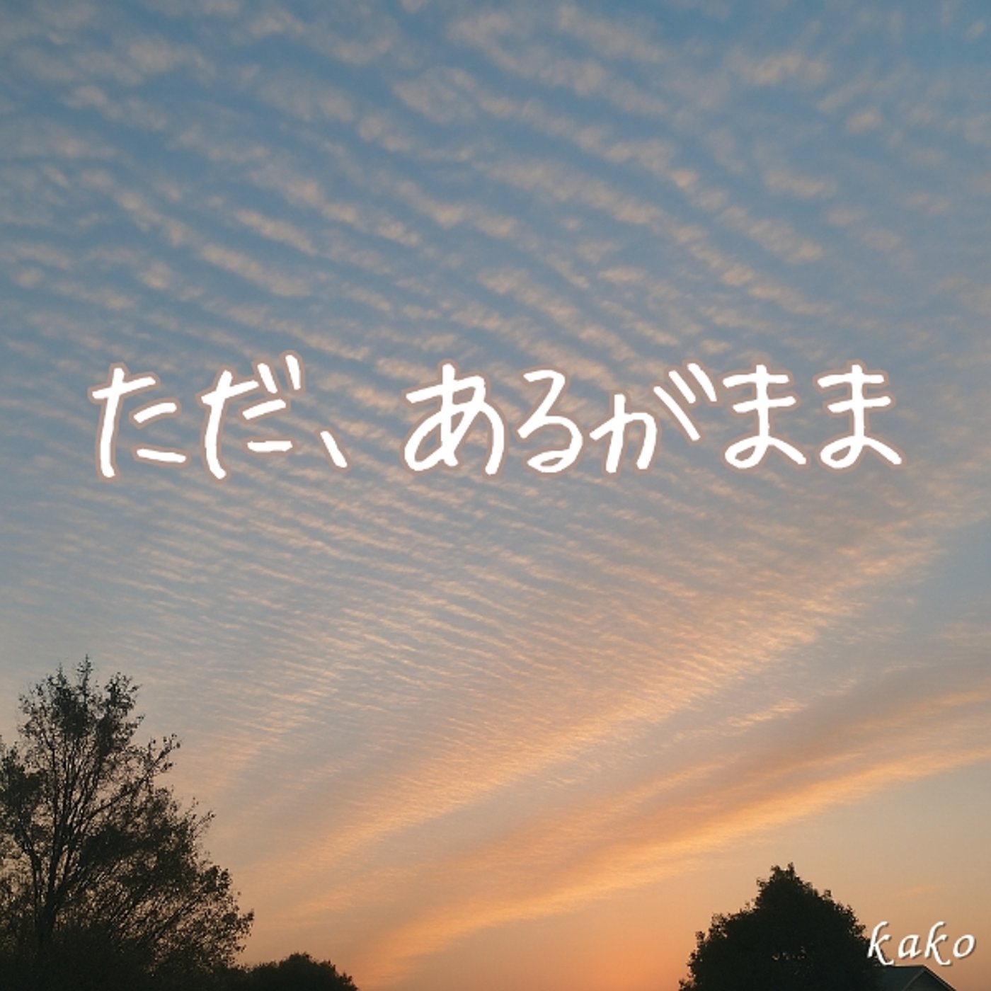 17.  原点に戻る ― 嬉しいが起きた、悲しいが起きた。