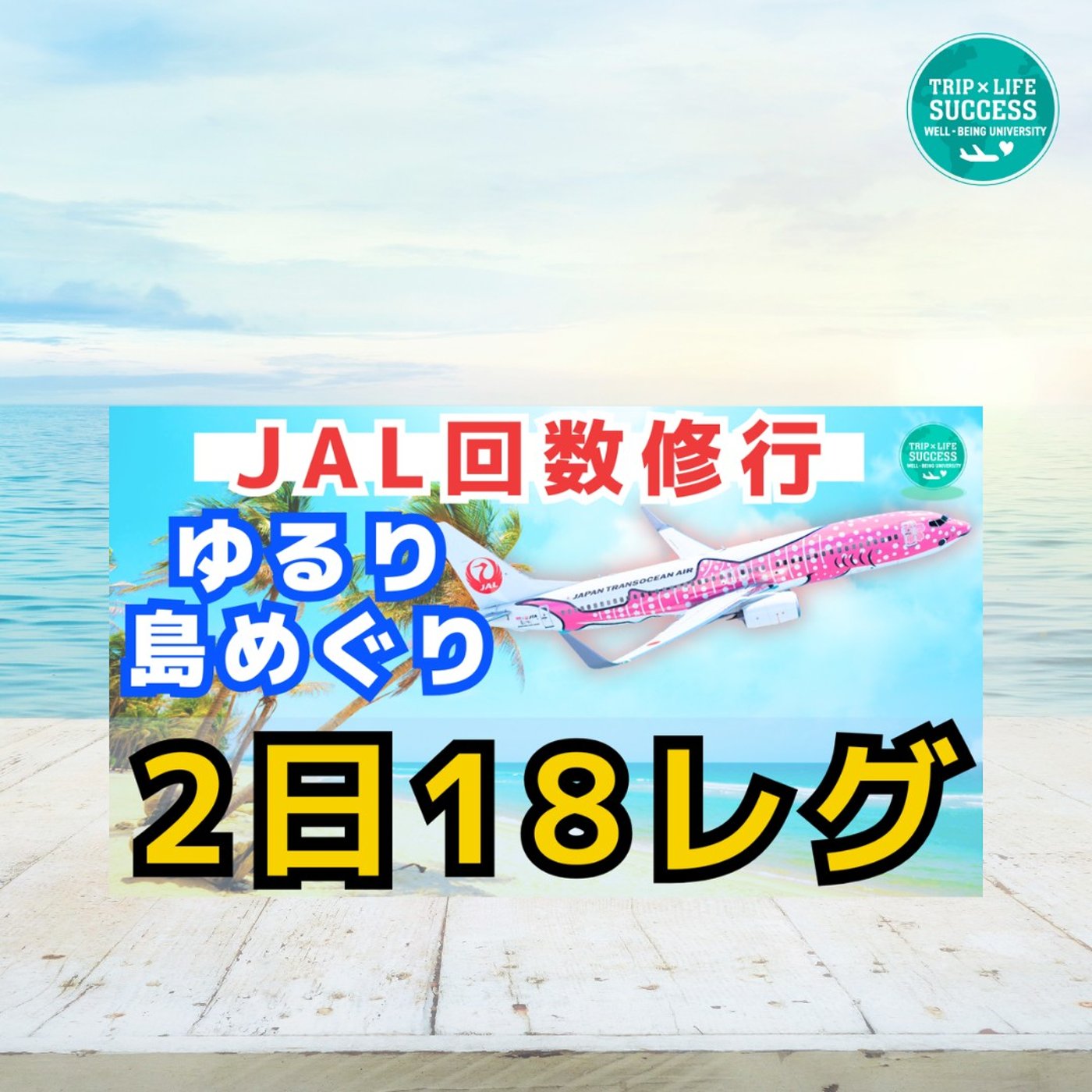 【JAL 回数修行】実は最適解!? ゆるり沖縄島めぐり2日18レグ！