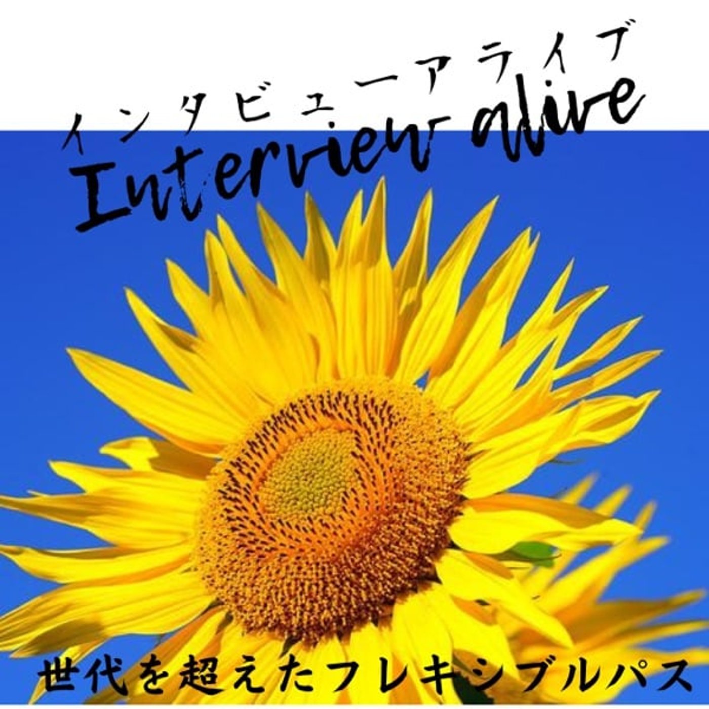 256 match 完🙋♂️ 256 match 完🙋♂️