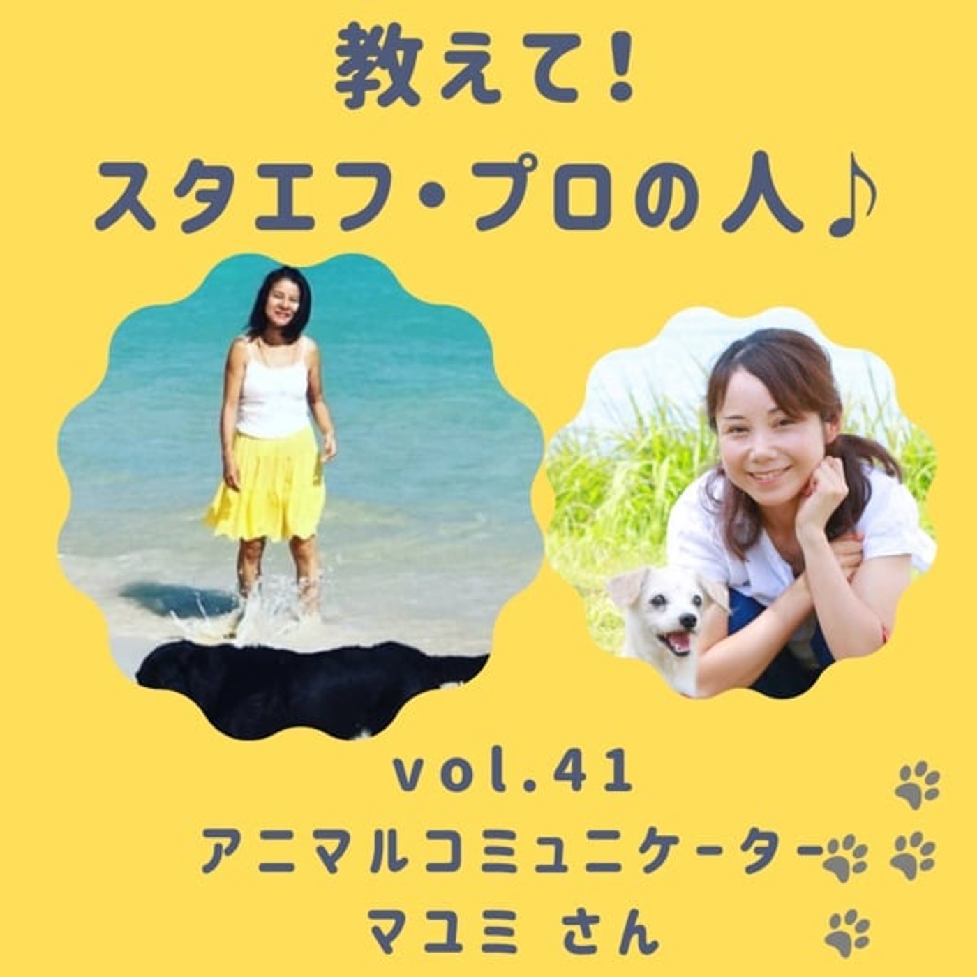 《教えて❣️スタエフ・プロの人💛》VOL.41アニマルコミュニケーター🐱まゆみさん 《教えて❣️スタエフ・プロの人💛》VOL.41アニマルコミュニケーター🐱まゆみさん