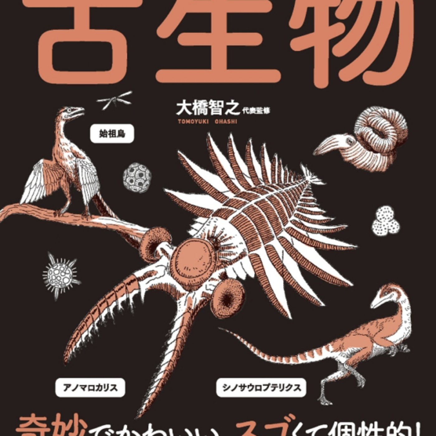 図解古生物がアノマロカリスおもろ！　今回六回目の大量絶滅は人間のせい？