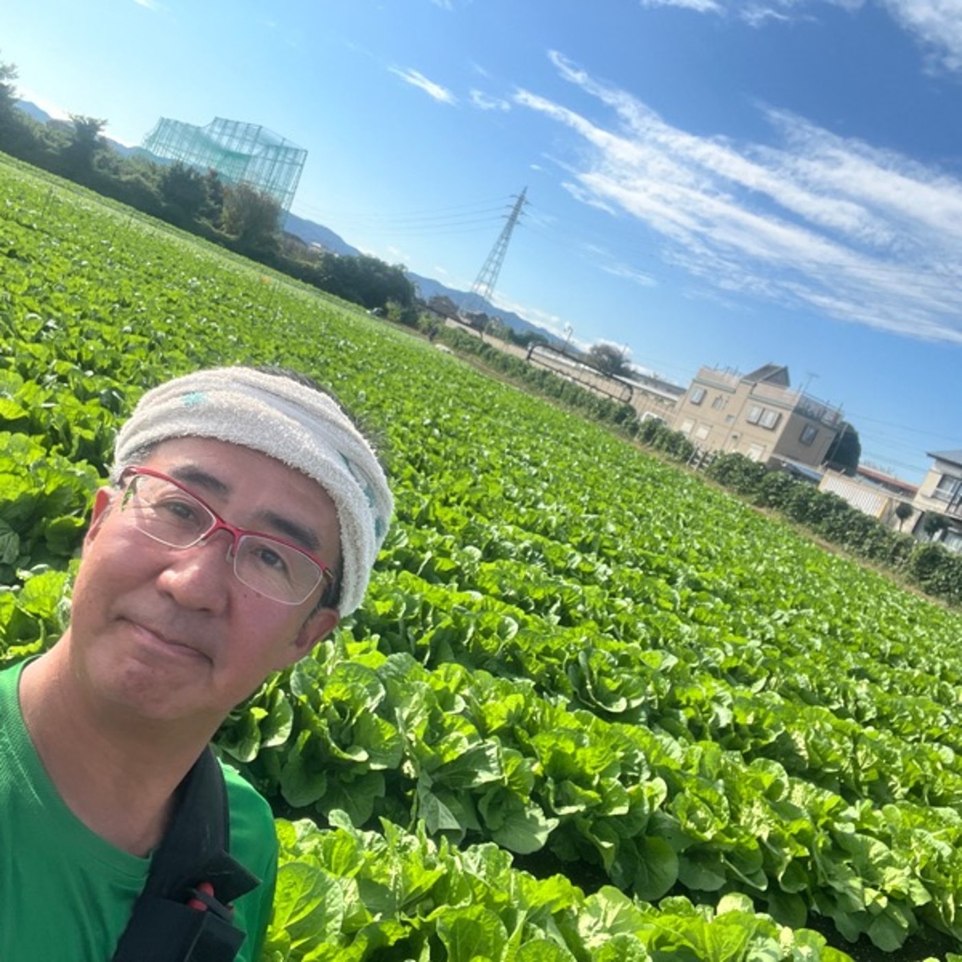 #538 鈴木農園さんで農業研修 大量の白菜は圧巻です 🍲楽しみ episode artwork