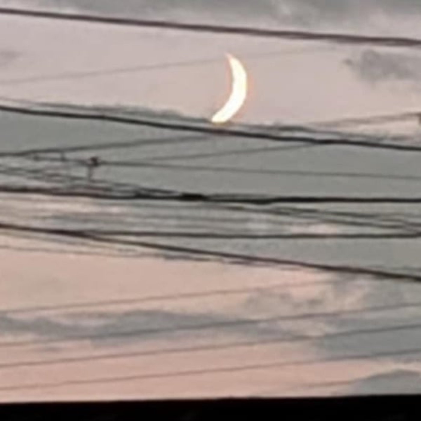 『話半分で👍🏻』 #1524  ‘25,10,24 国連デー 『話半分で👍🏻』 #1524  ‘25,10,24 国連デー