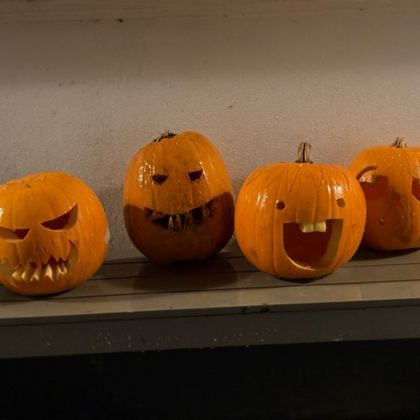 #62 フォルケホイスコーレを卒業した後、何するの? #62 フォルケホイスコーレを卒業した後、何するの?