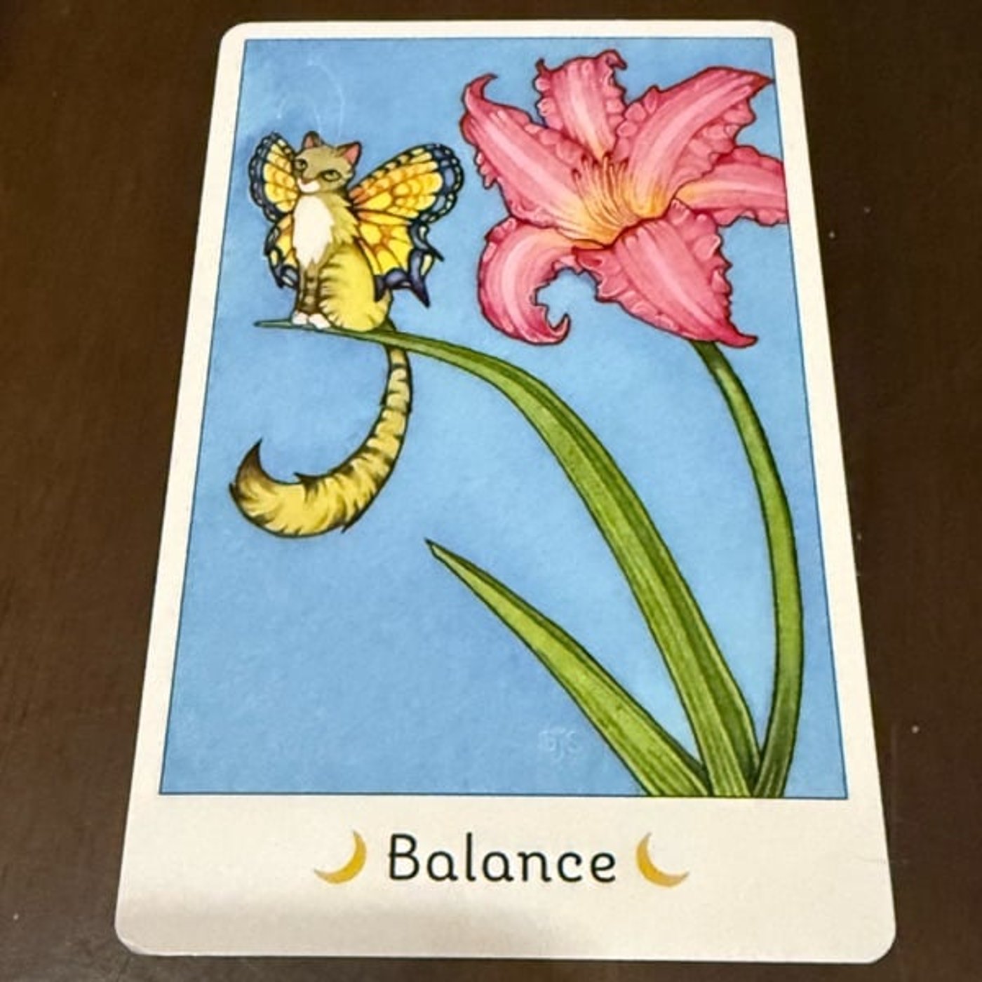 753【猫オラクルカード】10,27〜11/2のメッセージ『バランス』