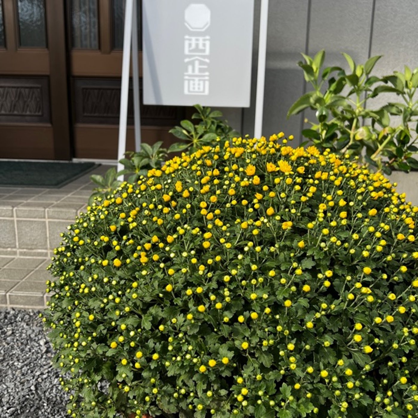 運のデザインは欲求より可能性を基準にして吉 episode artwork