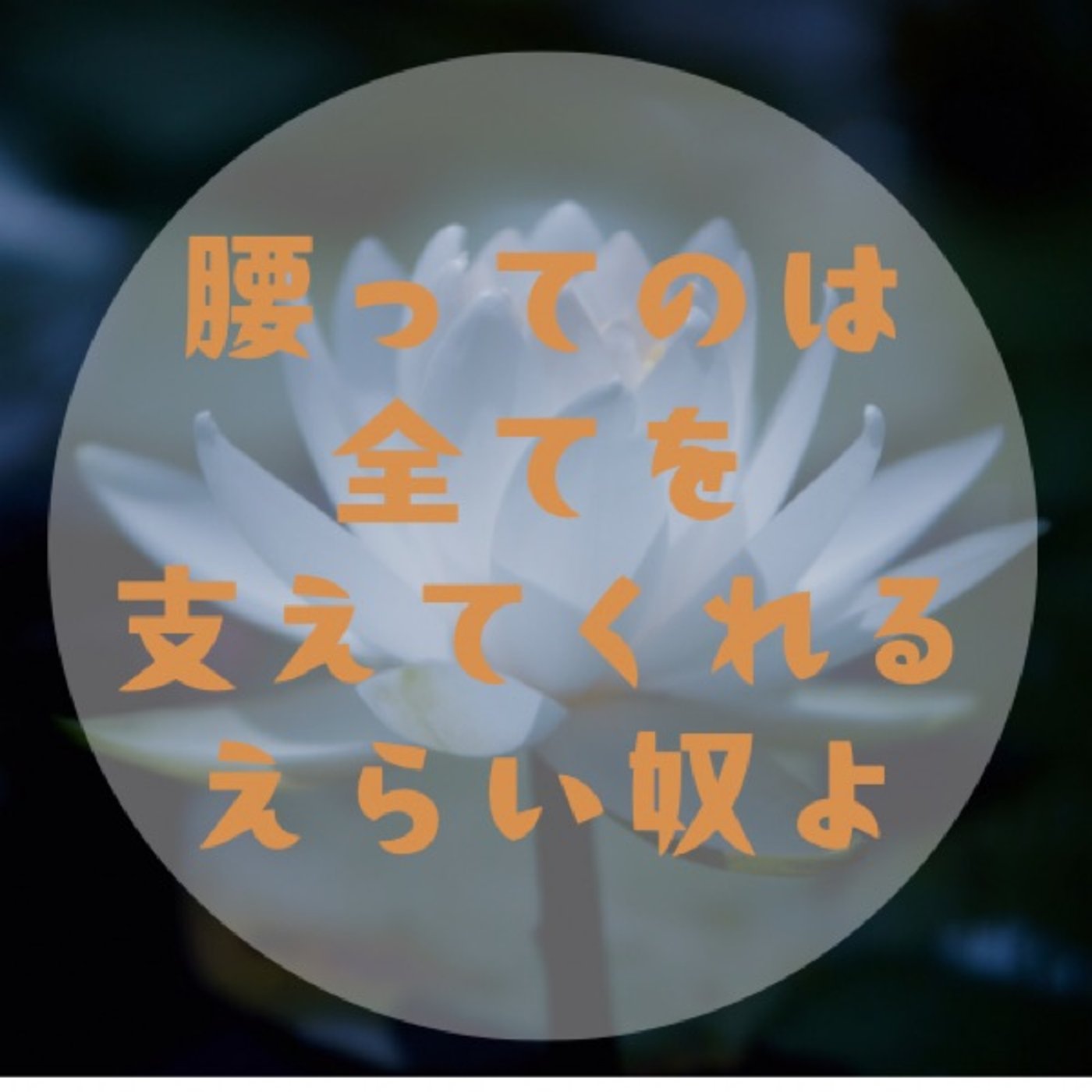 #002【頑張りすぎたら腰椎が分離した話〜股関節を労おう〜】睡のヨーガと雑談 episode artwork