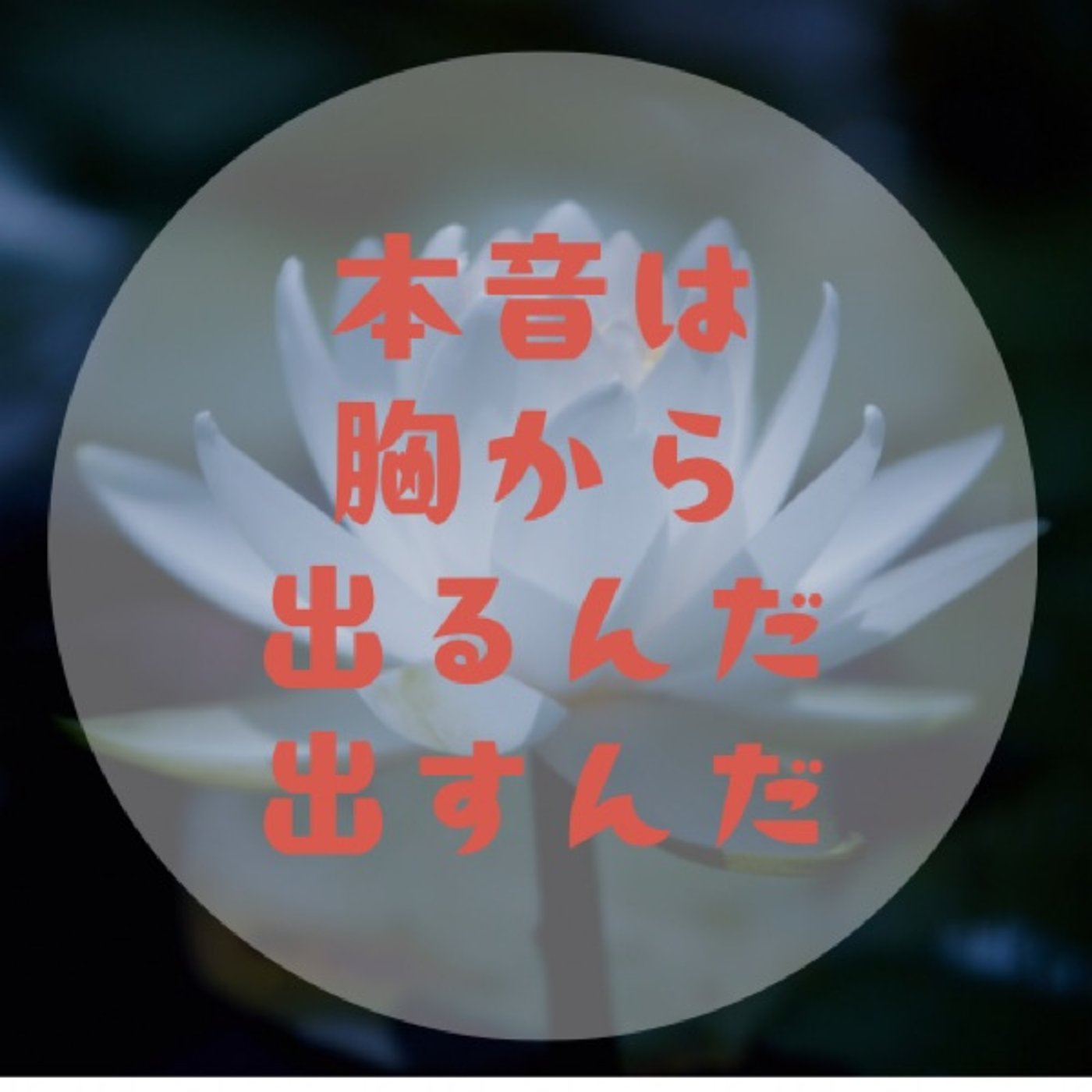 #003【心を開いて本音を言う方法〜一緒に胸の動き感じてみよ〜】睡のヨーガと episode artwork