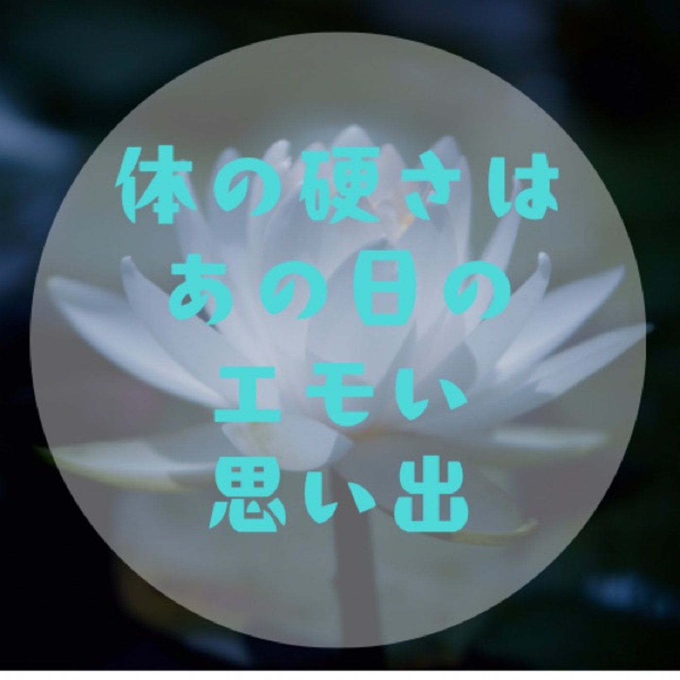 #005【体硬い人ほどヨーガやろうよ〜体の在り方から心の状態を知れる〜】 episode artwork
