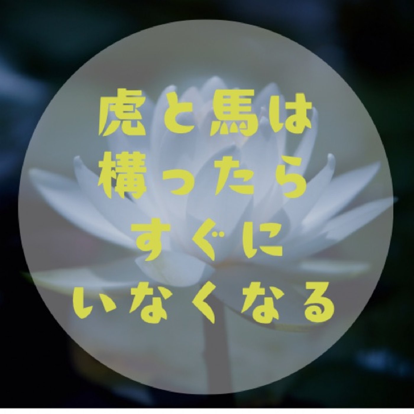 #007【トラウマの外し方〜心と体に刻まれた思い出を、向き合って労って手放そう】 episode artwork