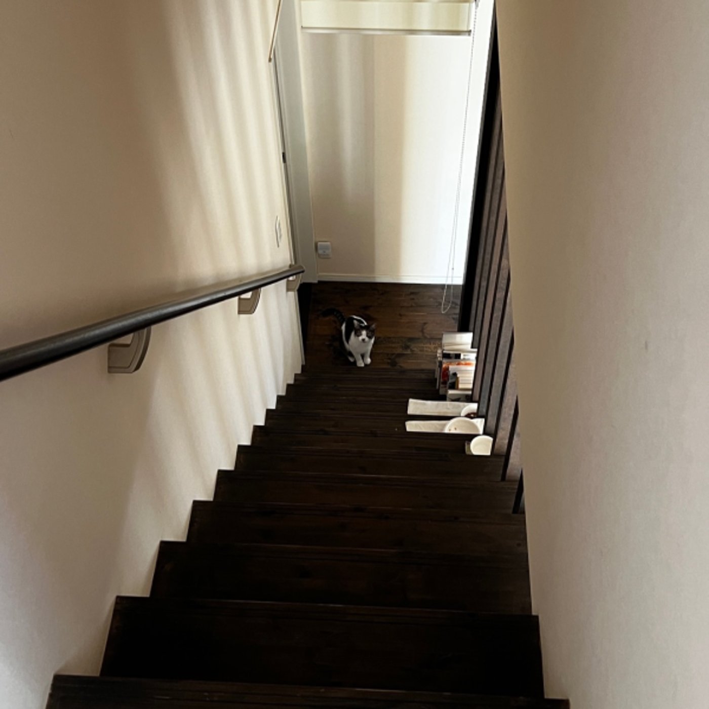 【家相学】仕事運は床で分かる