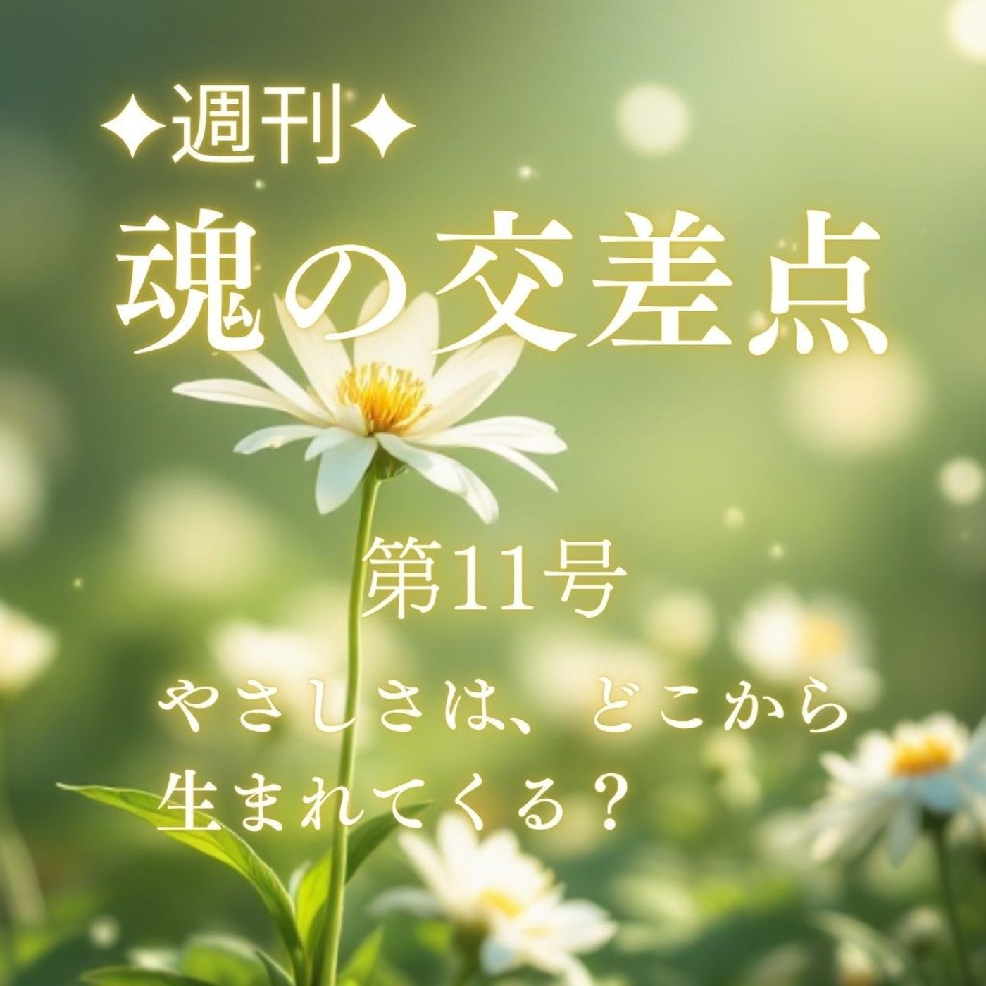 🎧第11号｜やさしさは、どこから生まれてくる？（週刊✦魂の交差点）