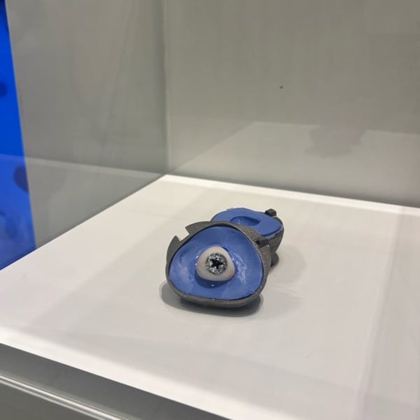 My Gaze, My choice (私のまなざし、私の選択)