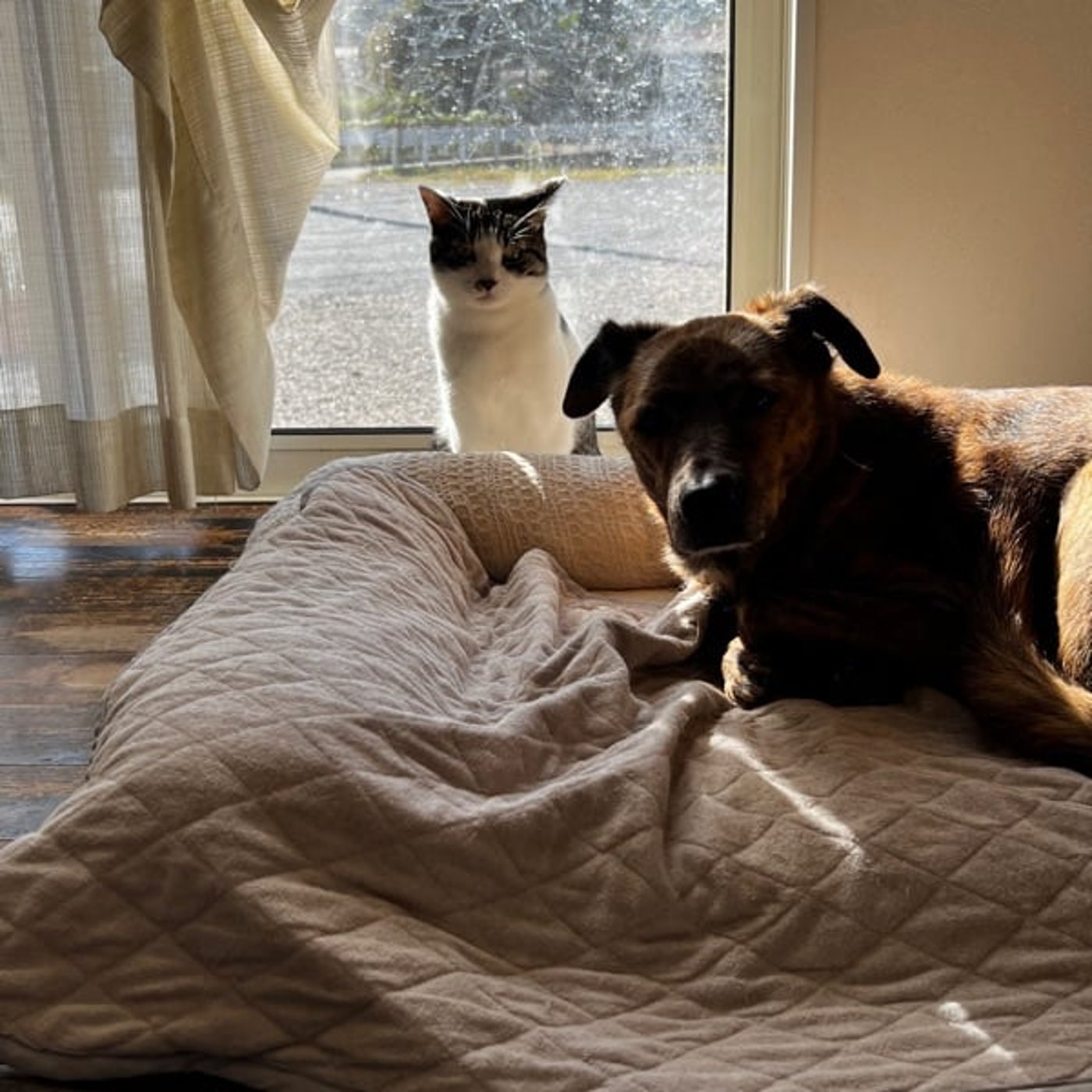 吉日の予定を見失ったときの3つの選択肢