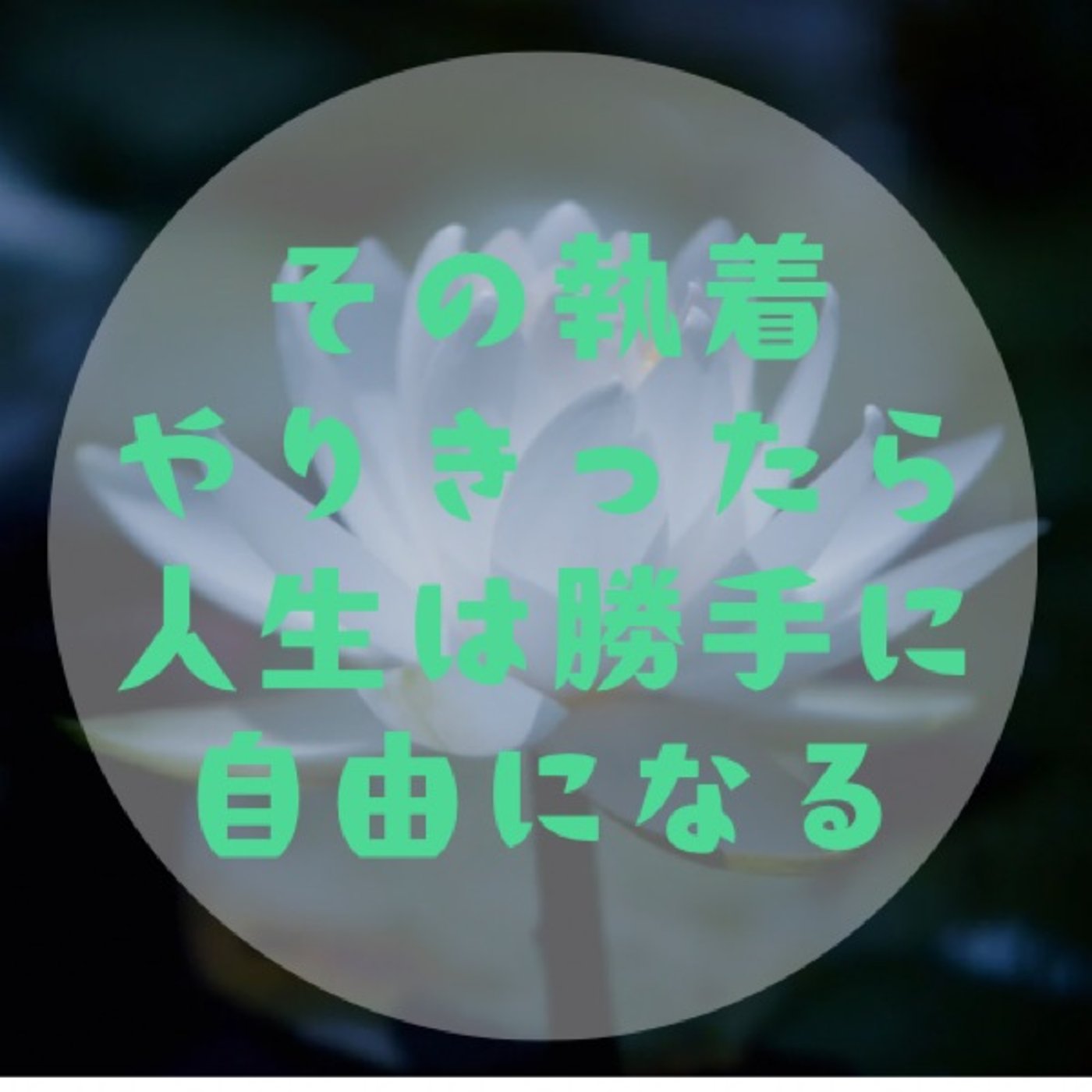 #010【執着の外し方〜心身の土台を創ると現実は自由になってくよ〜】 episode artwork