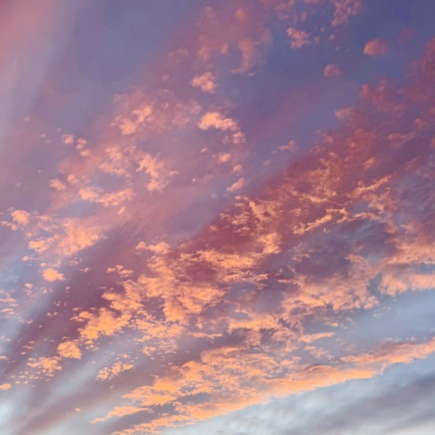 この空に登っていきました