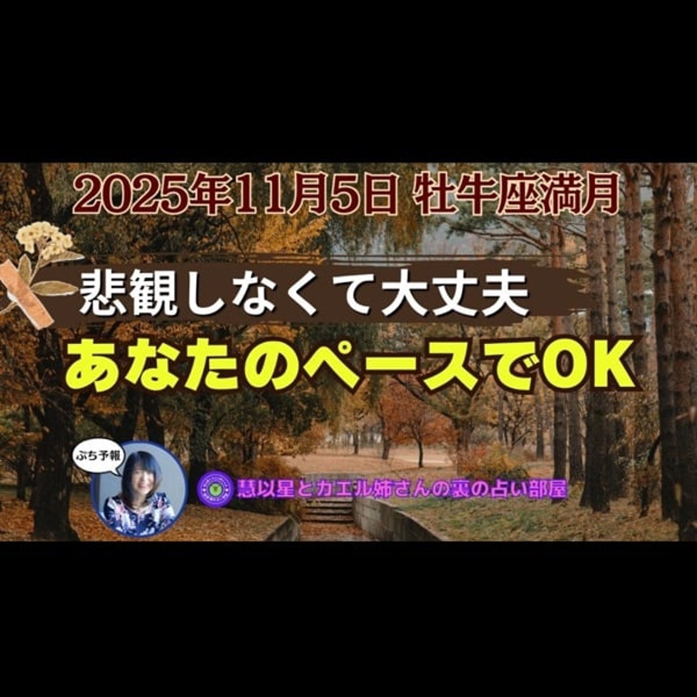 今回もグランドトラインに応援される💕】25年11/5牡牛座♉満月🌕 今回もグランドトラインに応援される💕】25年11/5牡牛座♉満月🌕