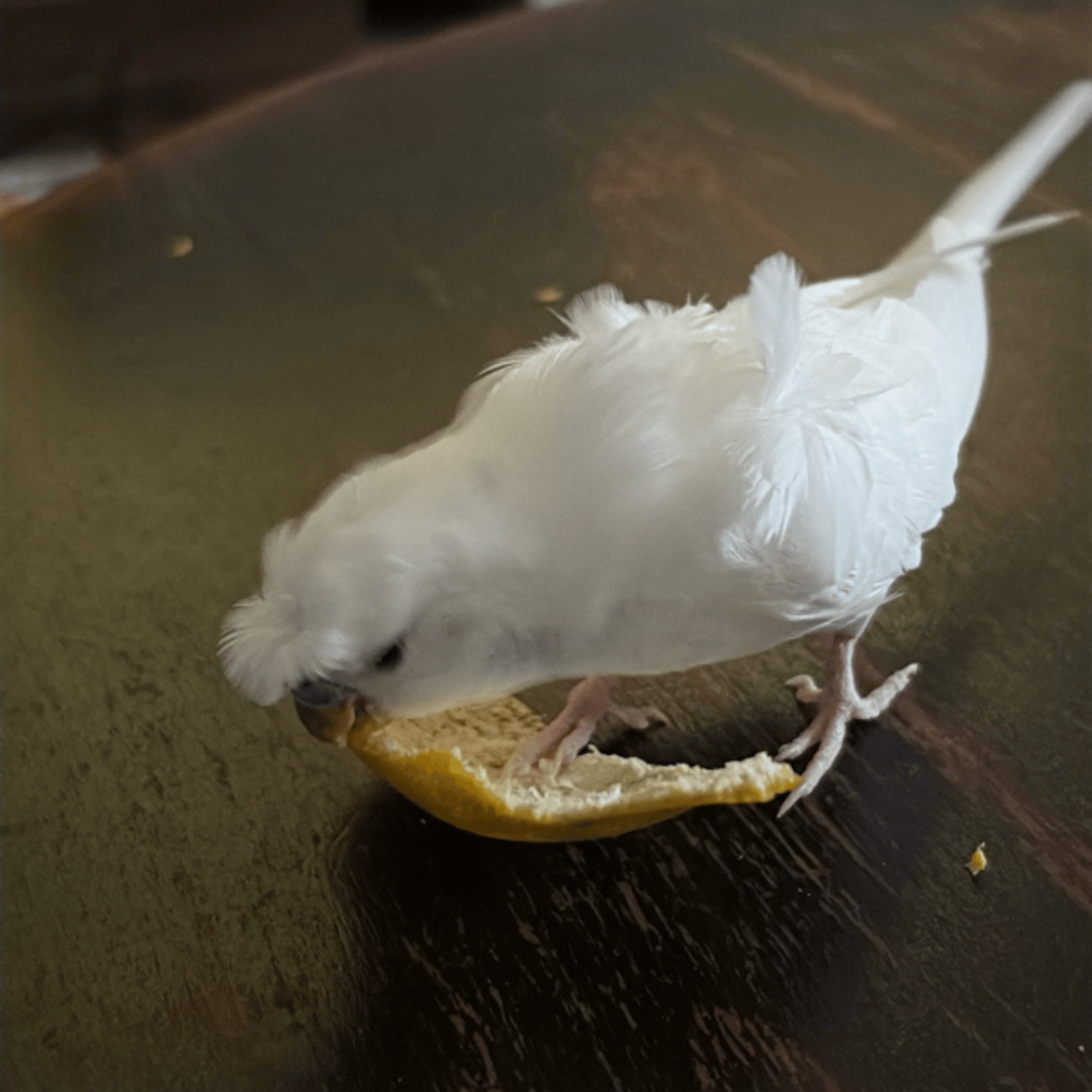 11.3 朝ライブ　出費がかさむ話