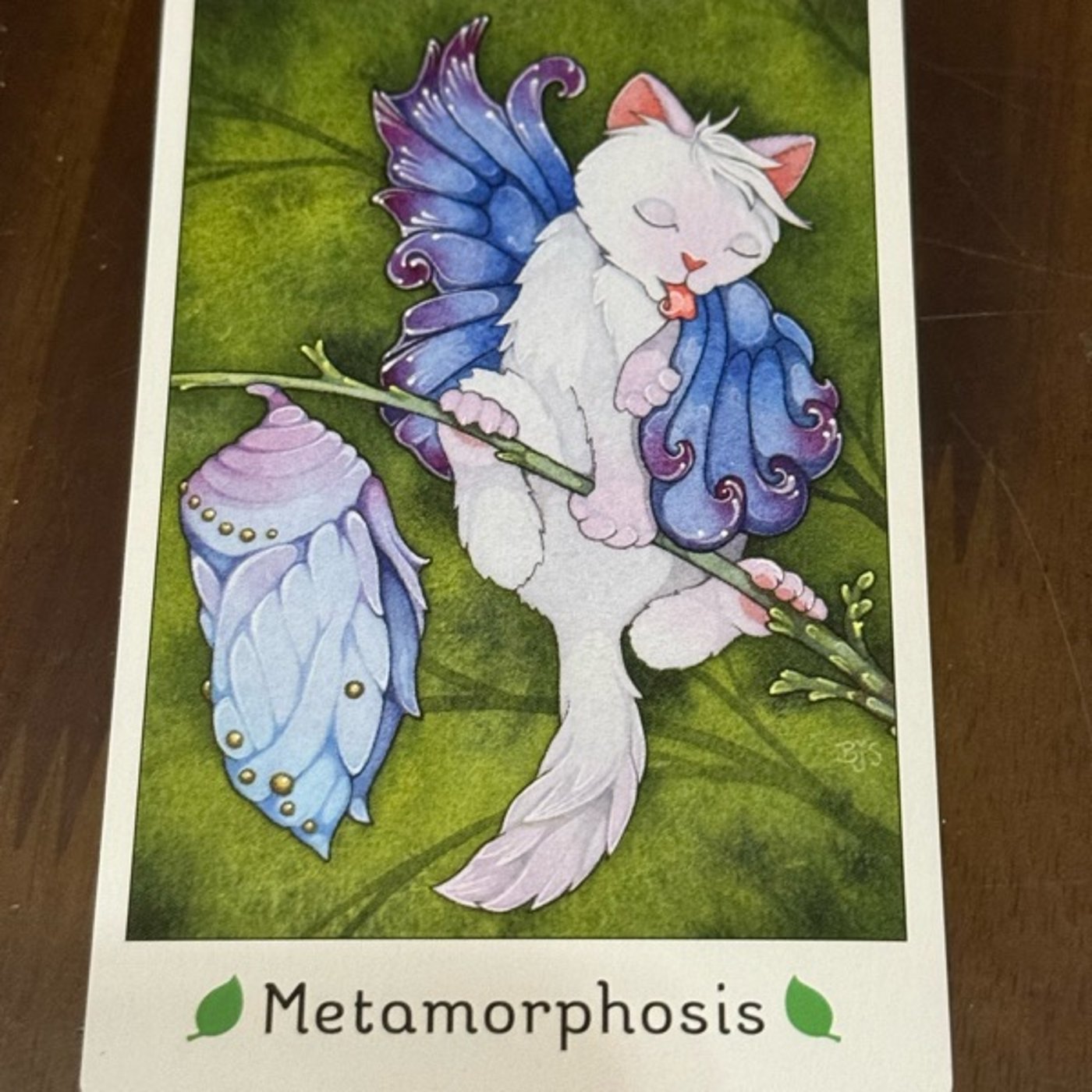 756【猫オラクルカード】11/3〜11/9のメッセージ『著しい変化』