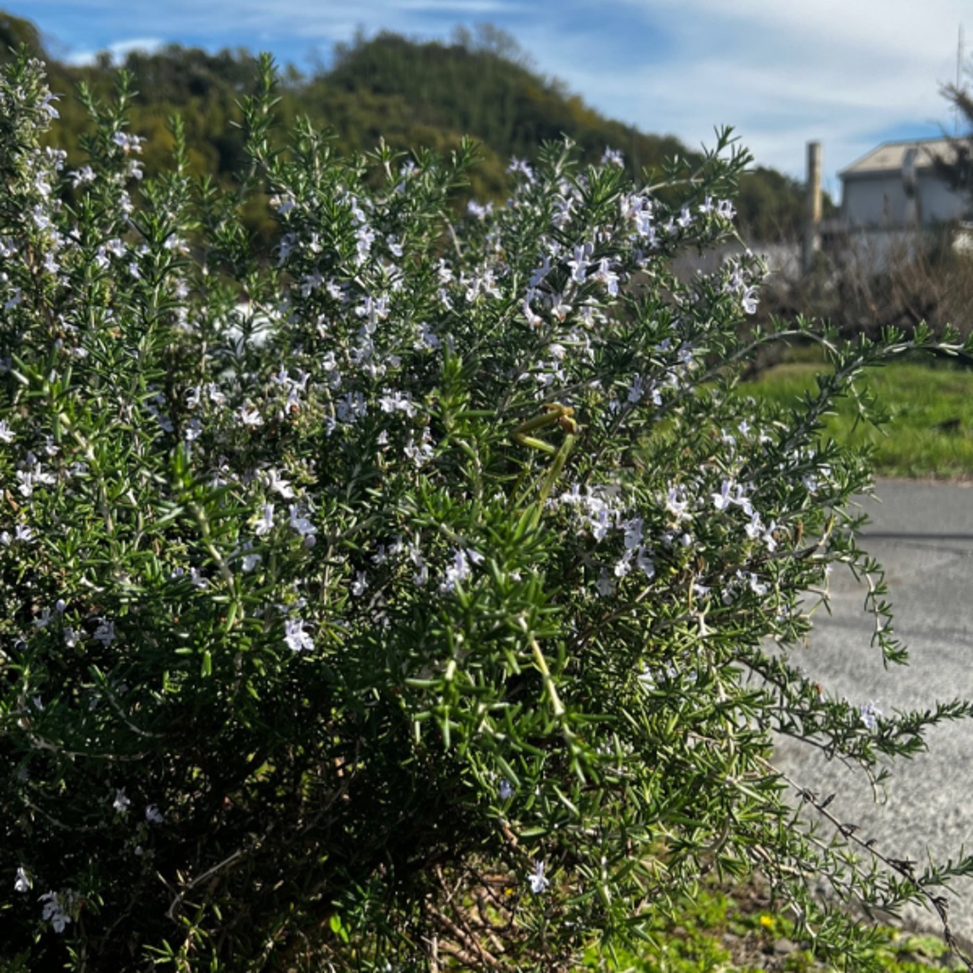 運のデザインに大義名分は不要