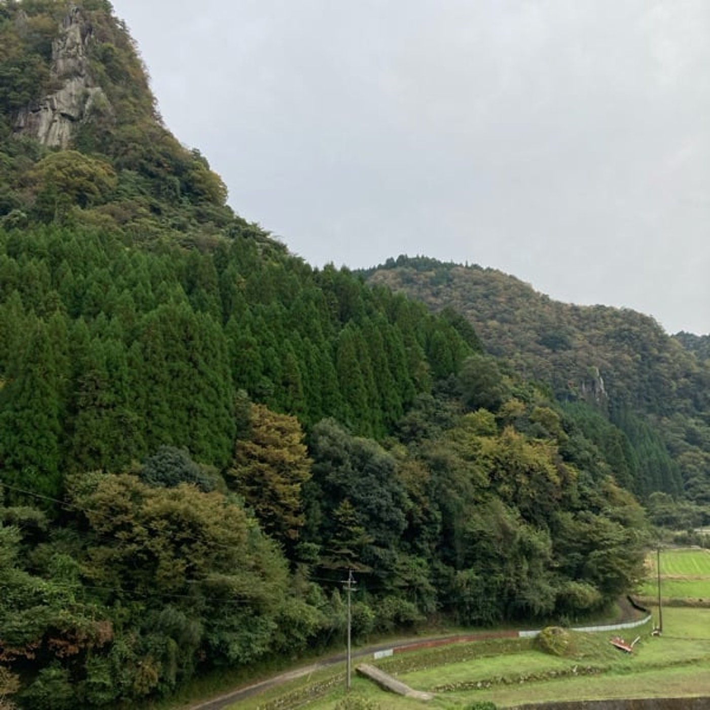 #191 今年の紅葉情報はインスタとコラボ！11月5日版