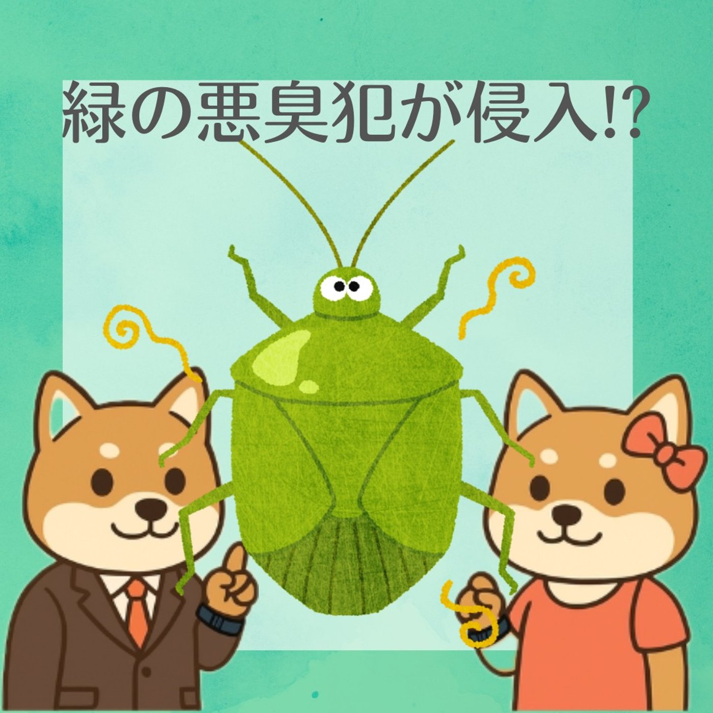 玄関に増えたカメムシの正体とは？ episode artwork