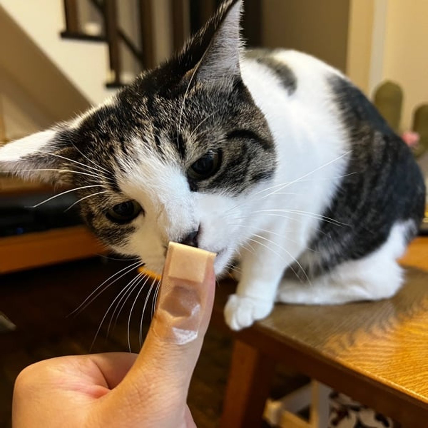 99％当たる予言 ー運が悪い人の真似をするなー