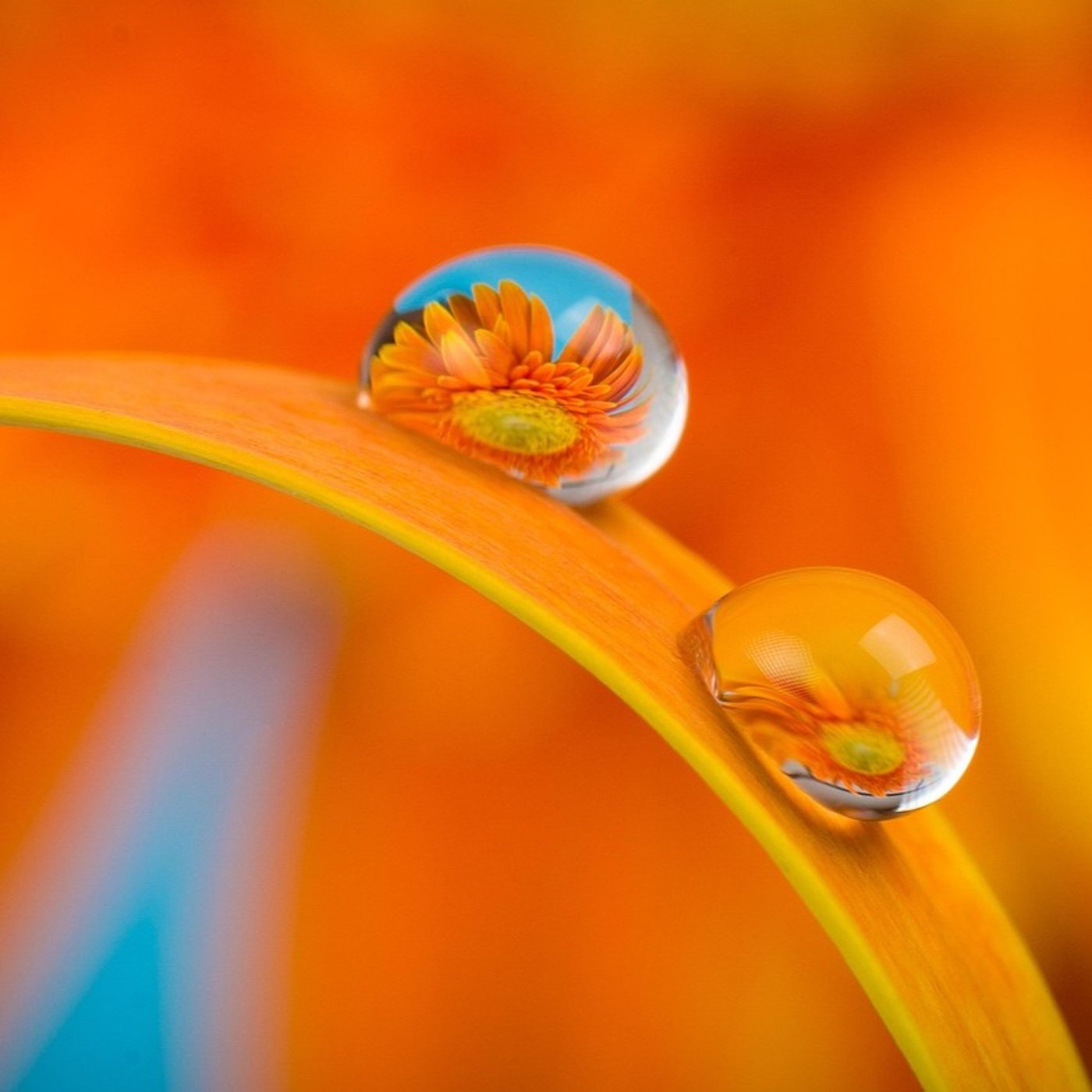 #763 心を整えるヒーリングピアノ 感謝の金曜日