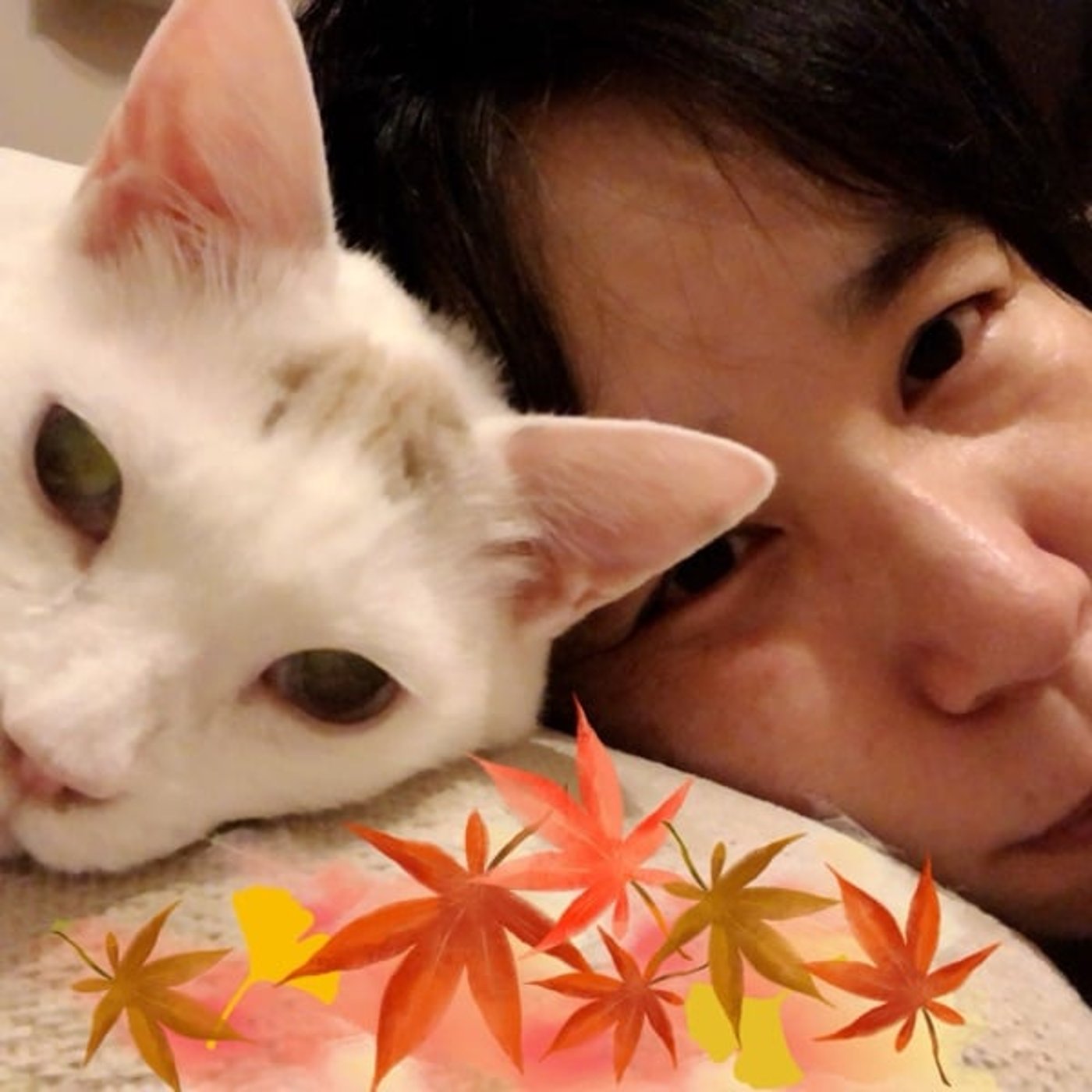 ぬるい強風の中、朝さんぽ【朝さんぽ10分】