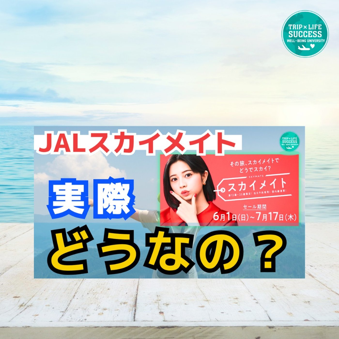【JAL スカイメイト】25歳以下で使える オトク な運賃は 実際どうなの？