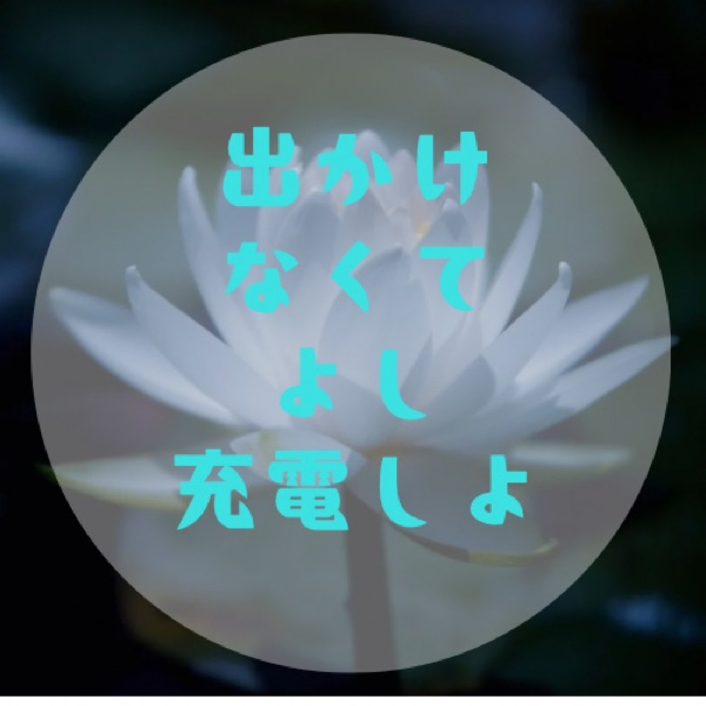 #017 【引きこもってよし〜1人きりの空間で丹田を充電〜】 episode artwork