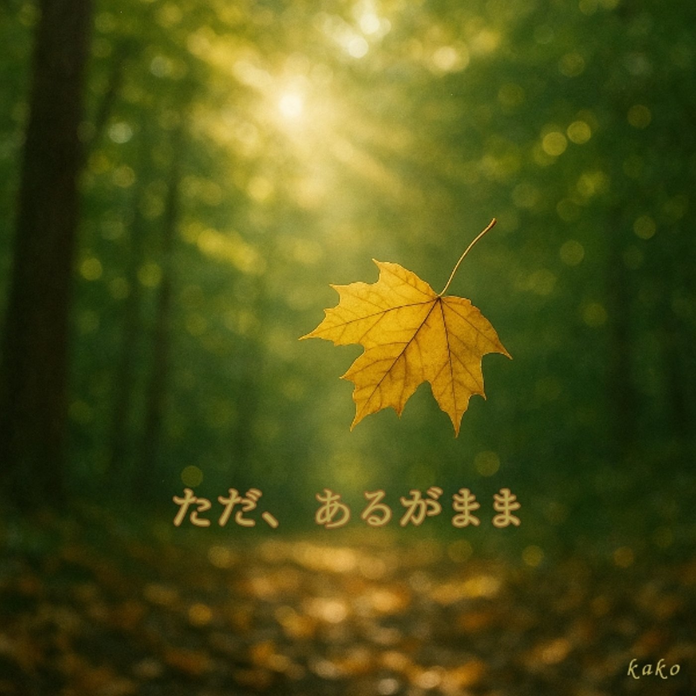 23.  決めつけ・思い込みから、自由になる