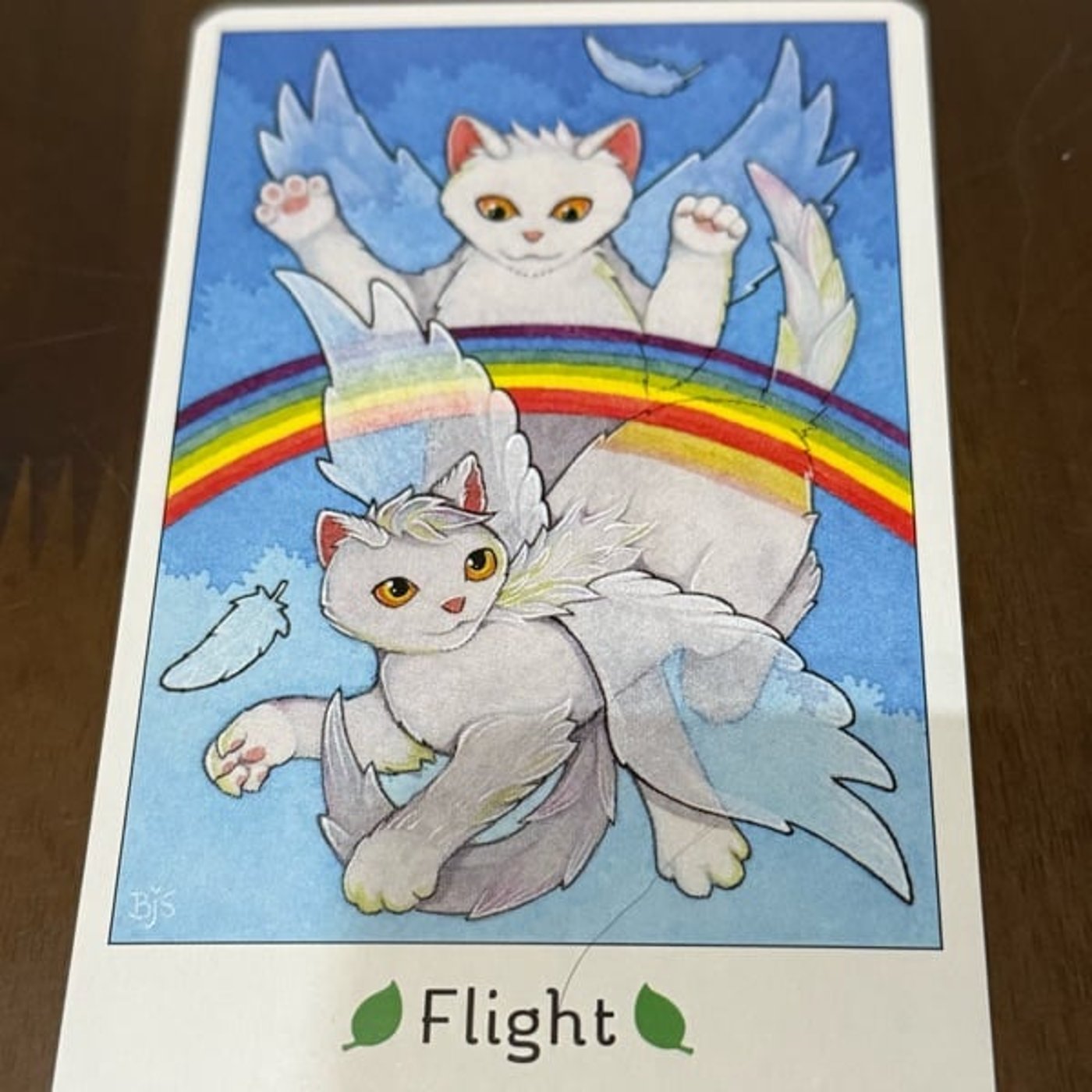 760【猫オラクルカード】11/10〜11/16のメッセージ『飛行』