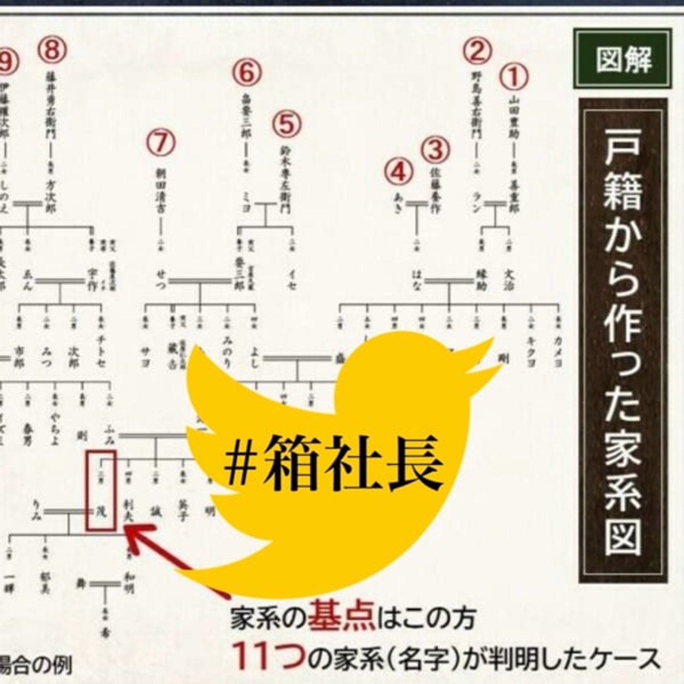#箱874.ファミリーヒストリー！家系図を作ります！自分のルーツを知る旅へ