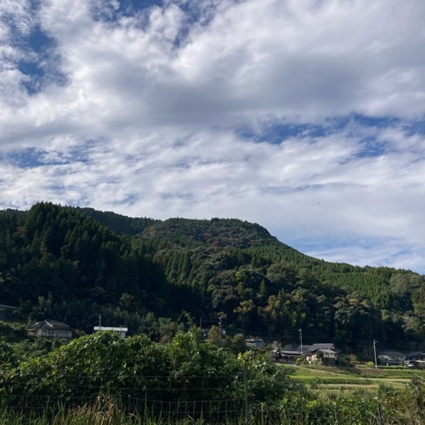 #192 インスタコラボ紅葉情報！11月12日版